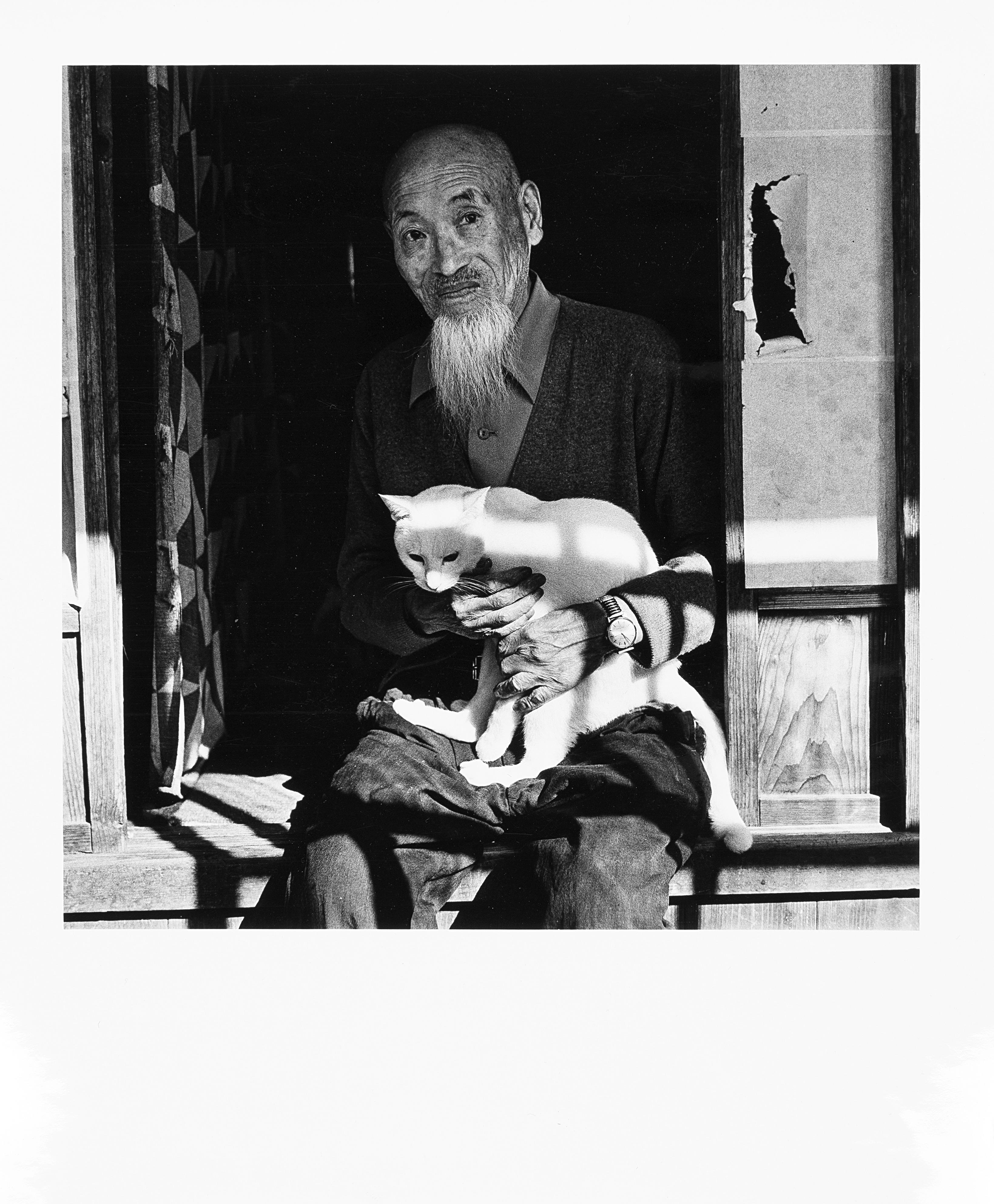 Issei Suda - Ritratto con gatto 1970 ca.