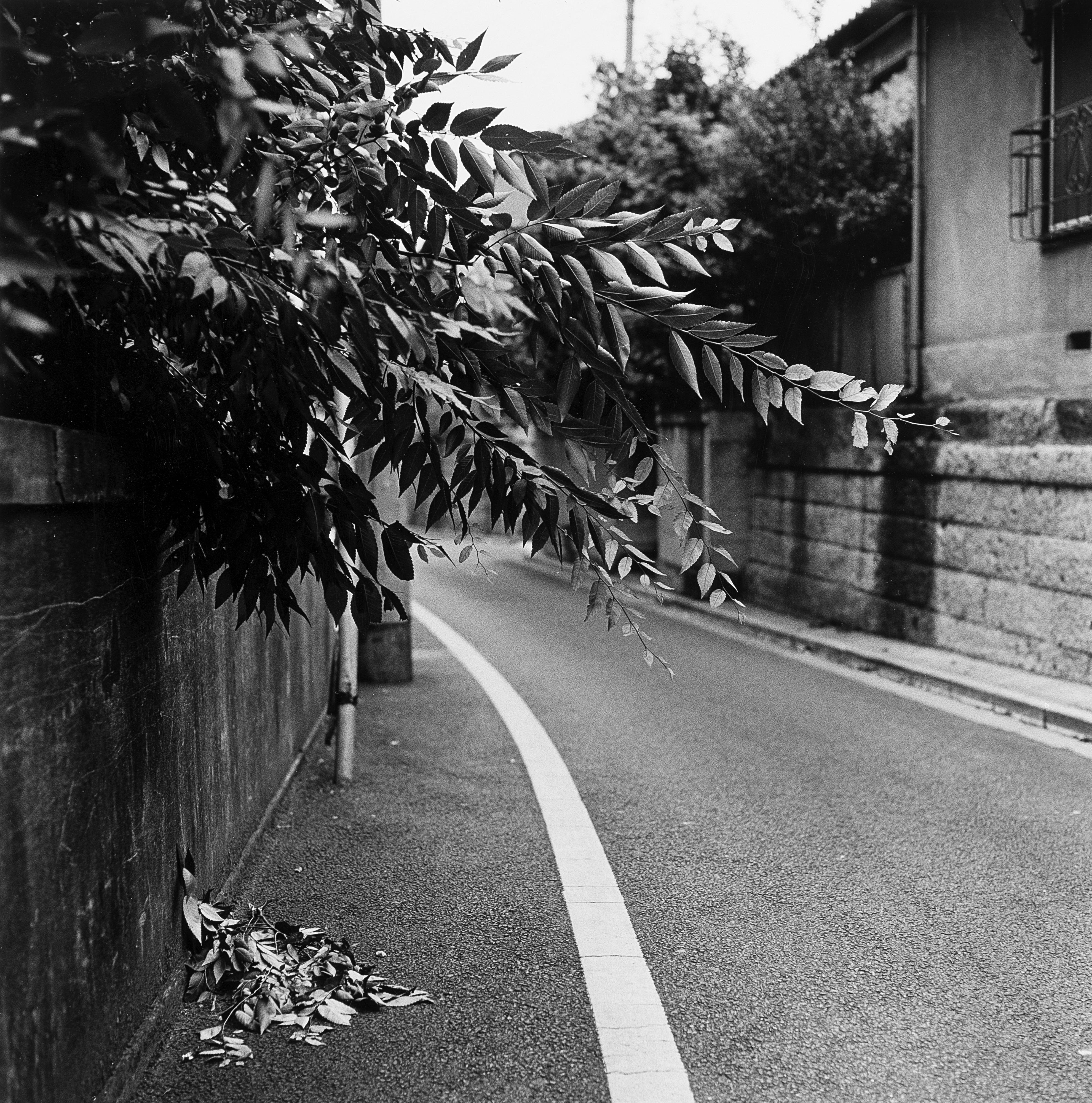 Issei Suda - Street 1970 ca.