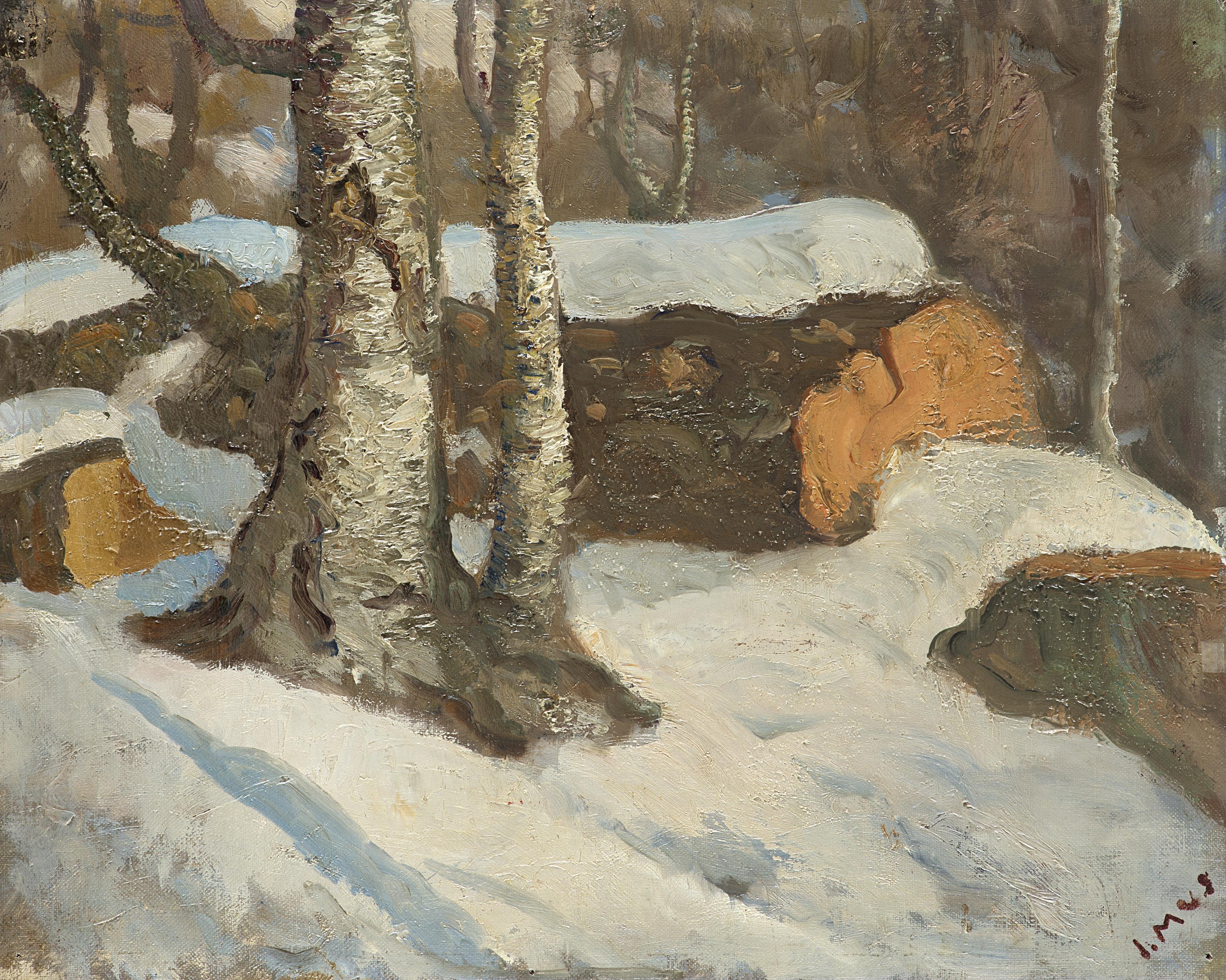 Italo Mus - Sotto la neve