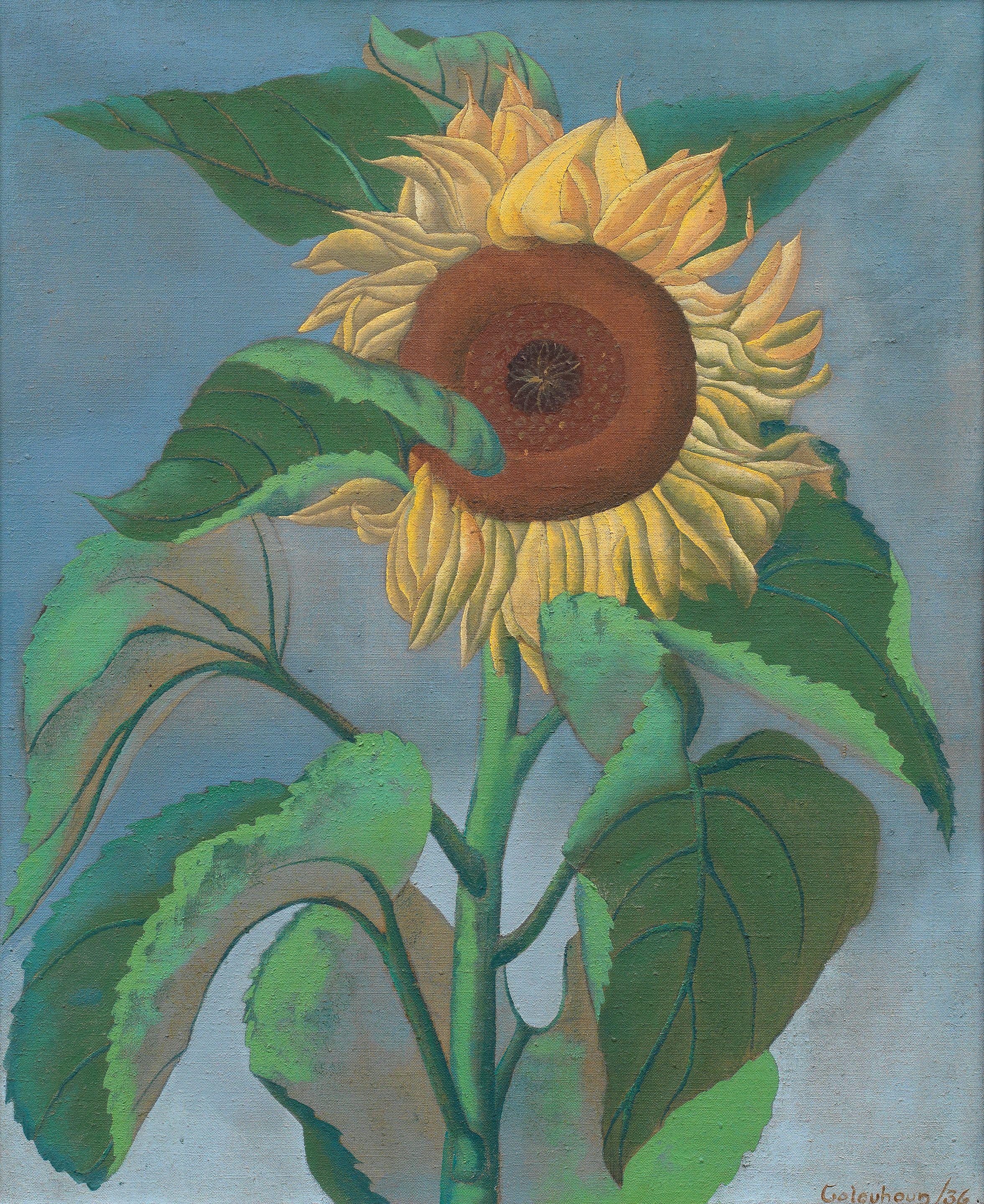 Ithell Colquhoun - Sunflower
