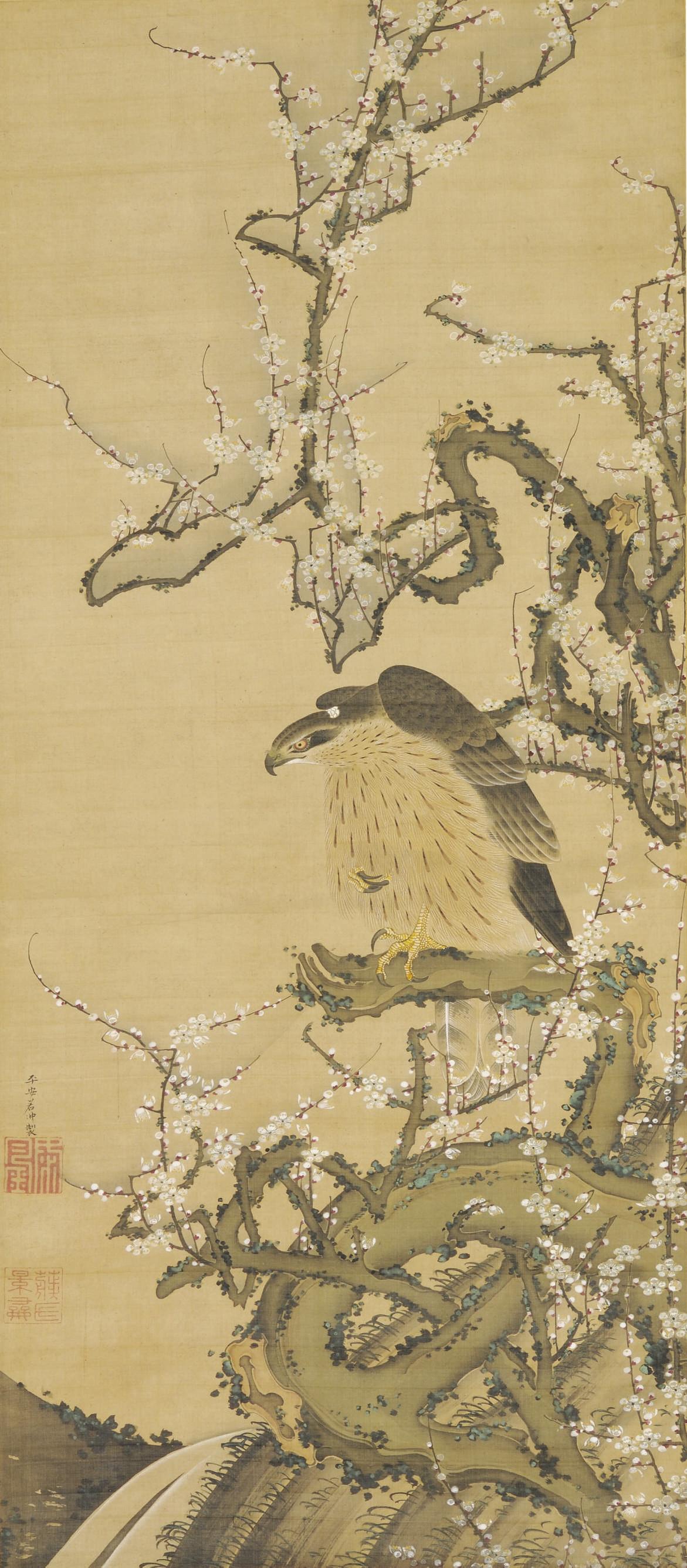 Ito Jakuchu - Hawk on a blossoming plum branch