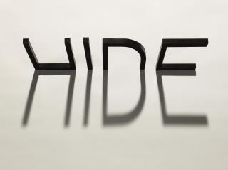 Iván Capote - Hide: La sombra es una luz que se esconde