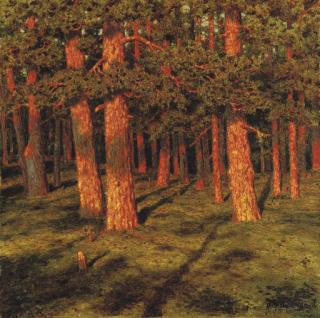 Ivan Fedorovich Shul\'tse - Pine forest