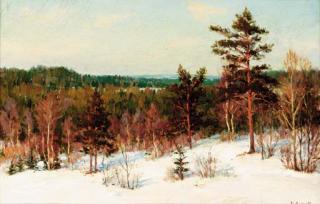Ivan Fedorovich Shul\'tse - Winter - View over the Forest
