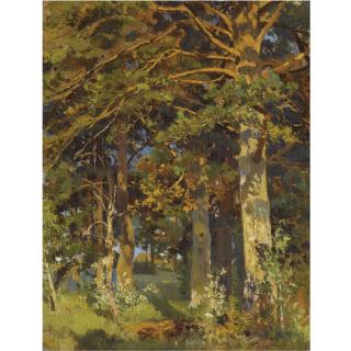 Ivan Ivanovich Shishkin - Forest Clearing