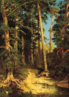 Ivan Ivanovich Shishkin - Forestscape