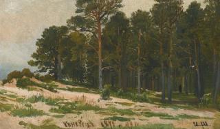 Ivan Ivanovich Shishkin - Pine Forest