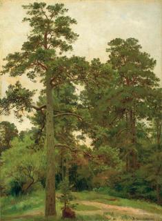 Ivan Ivanovich Shishkin - Pine Trees, Merekiul\'
