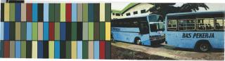 Ivan Lam - Three buses