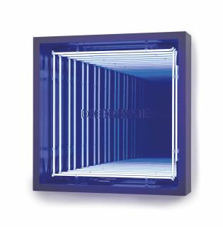 Ivan Navarro - Degenerate