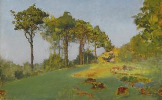 Ivan Pavlovich Pokhitonov - Summer At Jupille, Study Of Trees