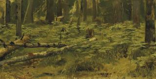 Ivan Shishkin - Forest clearing