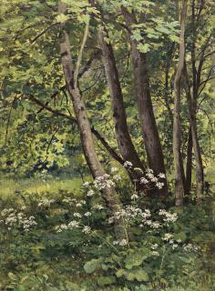 Ivan Shishkin - Forest flowers