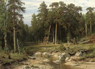 Ivan Shishkin - Mast Pine Forest in Viatka Province