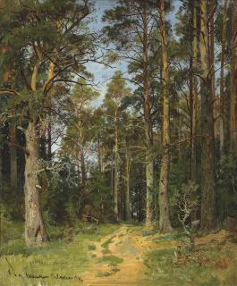 Ivan Shishkin - Siverskaya