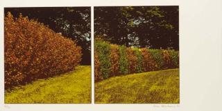 Ivor Abrahams - The \'Garden Suite\': Two plates