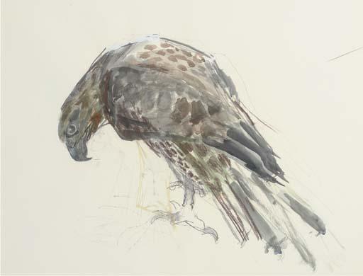 Ivor Roberts-Jones, R.A. - Bird of Prey