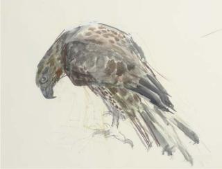 Ivor Roberts-Jones, R.A. - Bird of Prey