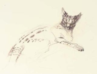 Ivor Roberts-Jones, R.A. - Lynx