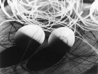 Iwao Yamawaki - Eggs