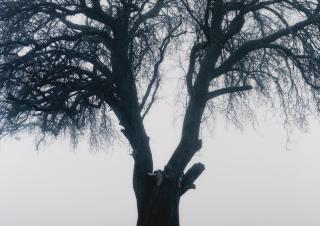 Izima Kaoru - \'Tanja De Jaeger Wears Christian Dior\', 2002