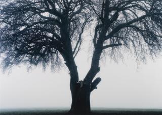 Izima Kaoru - \'Tanja De Jaeger Wears Christian Dior\', 2002