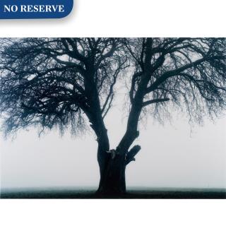 Izima Kaoru - \'Tanja De Jaeger Wears Christian Dior\', 2002