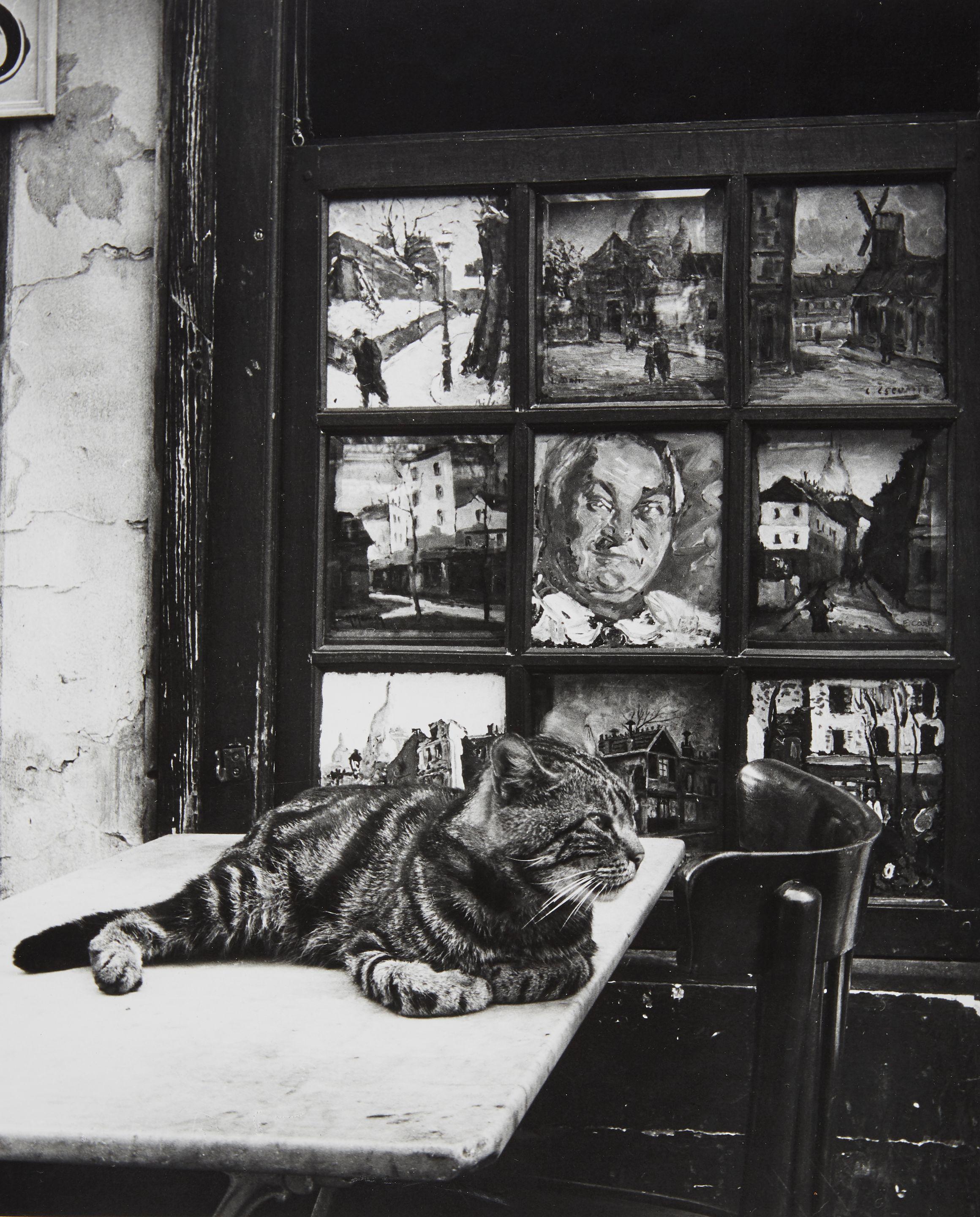 Izis - Chat de Bar Eugène, Place du Theatre, Paris