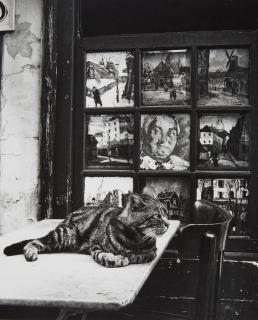 Izis - Chat de Bar Eugène, Place du Theatre, Paris