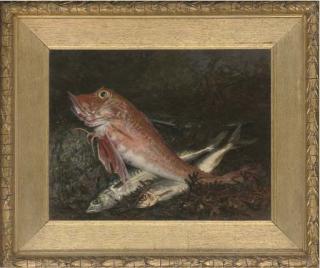 J. Anderson - A gurnard and two mackerel on a rock, with seaweed to the side