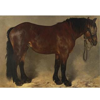 J. Espiennes - A Brown Draft Horse