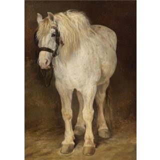J. Espiennes - The Draft Horse