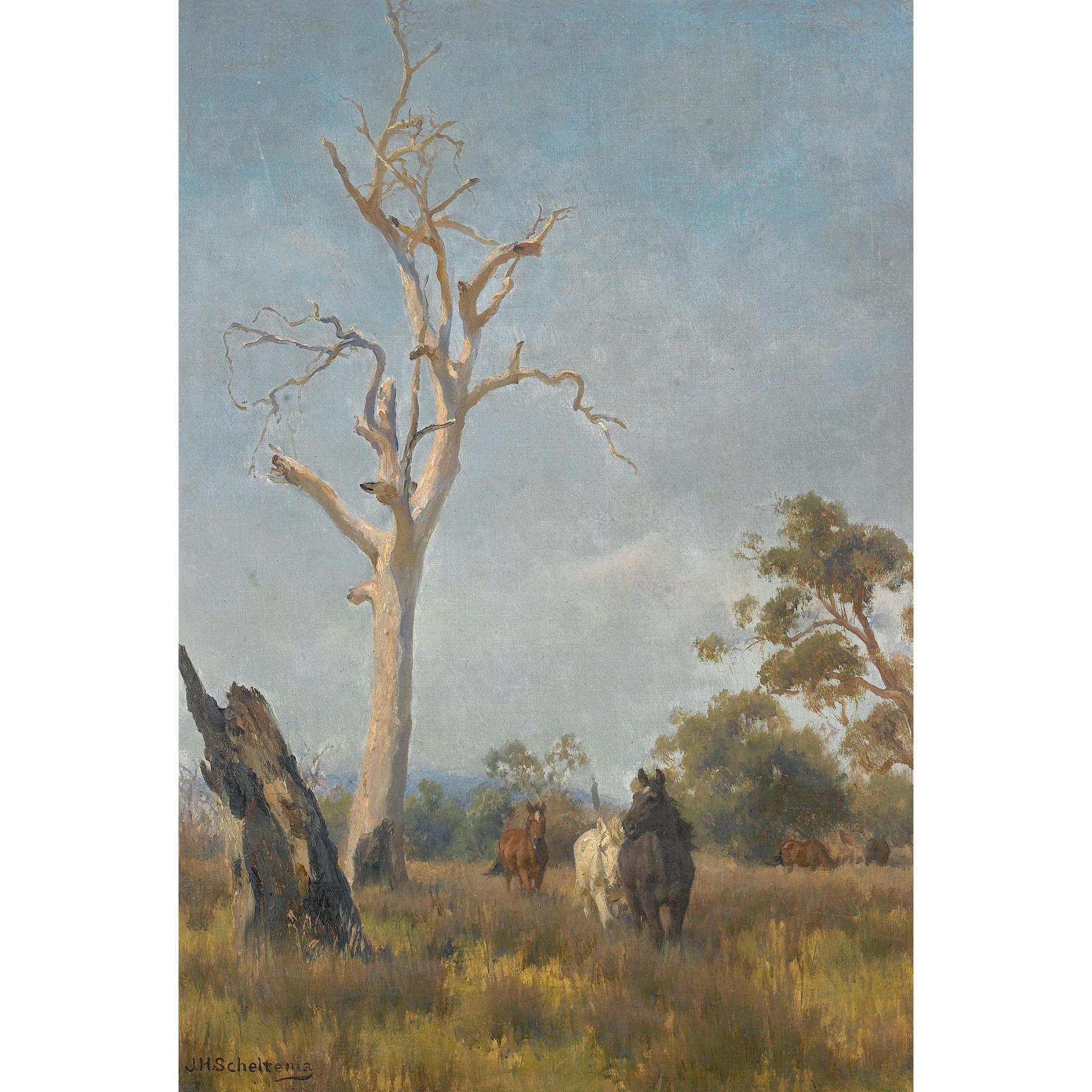 J. H. Scheltema - Australian wild Horses Running