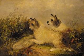 J. Langlois - Terriers on the scent; and Terriers rabbiting