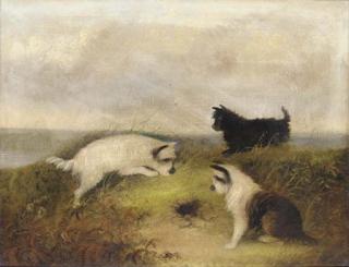 J. Langlois - Terriers Ratting