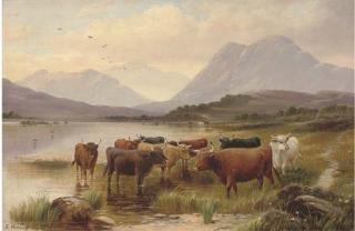 J. Morris - Highland cattle watering in an extensive landscape