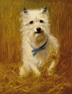 J. Williams - A terrier in a wheat field