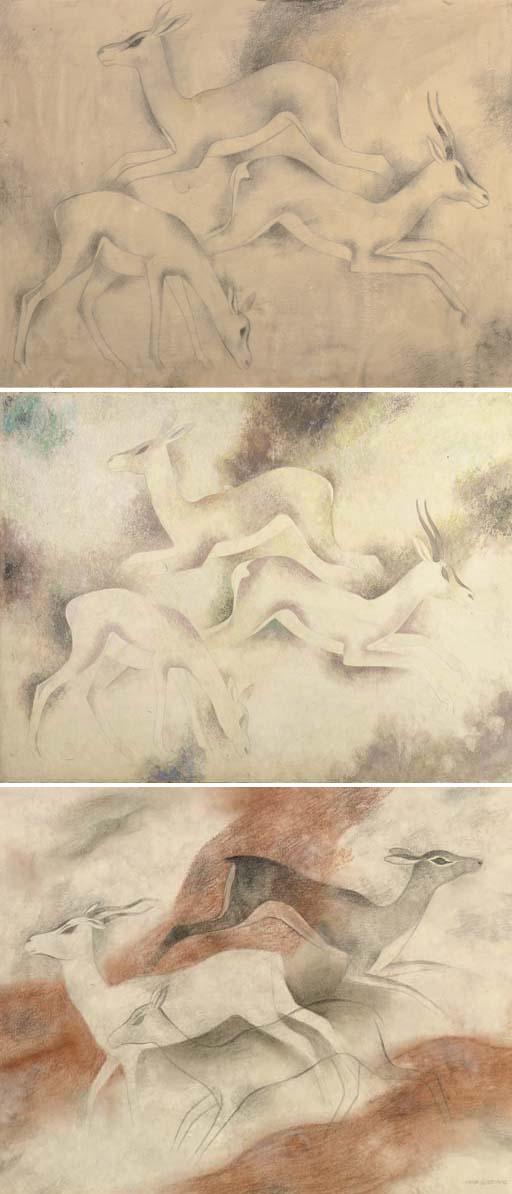 Jaap Gidding - Springbok