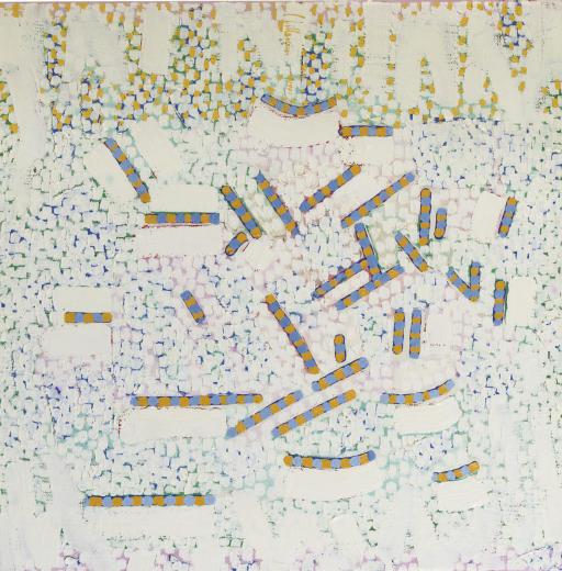 Jaap Hillenius - A la recherche