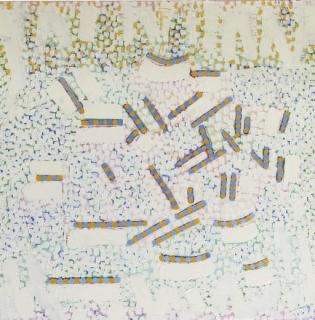 Jaap Hillenius - A la recherche