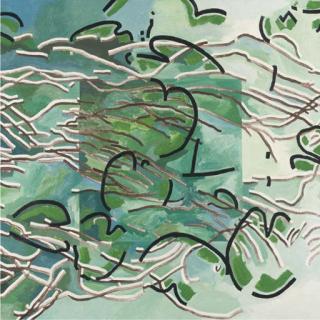 Jaap Hillenius - Waterlillies