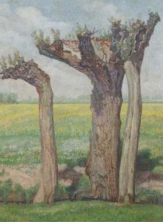 Jaap Nieweg - Landscape with pollard willows