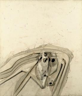 Jaap Wagemaker - Désert blanc