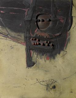 Jaap Wagemaker - Image insolite