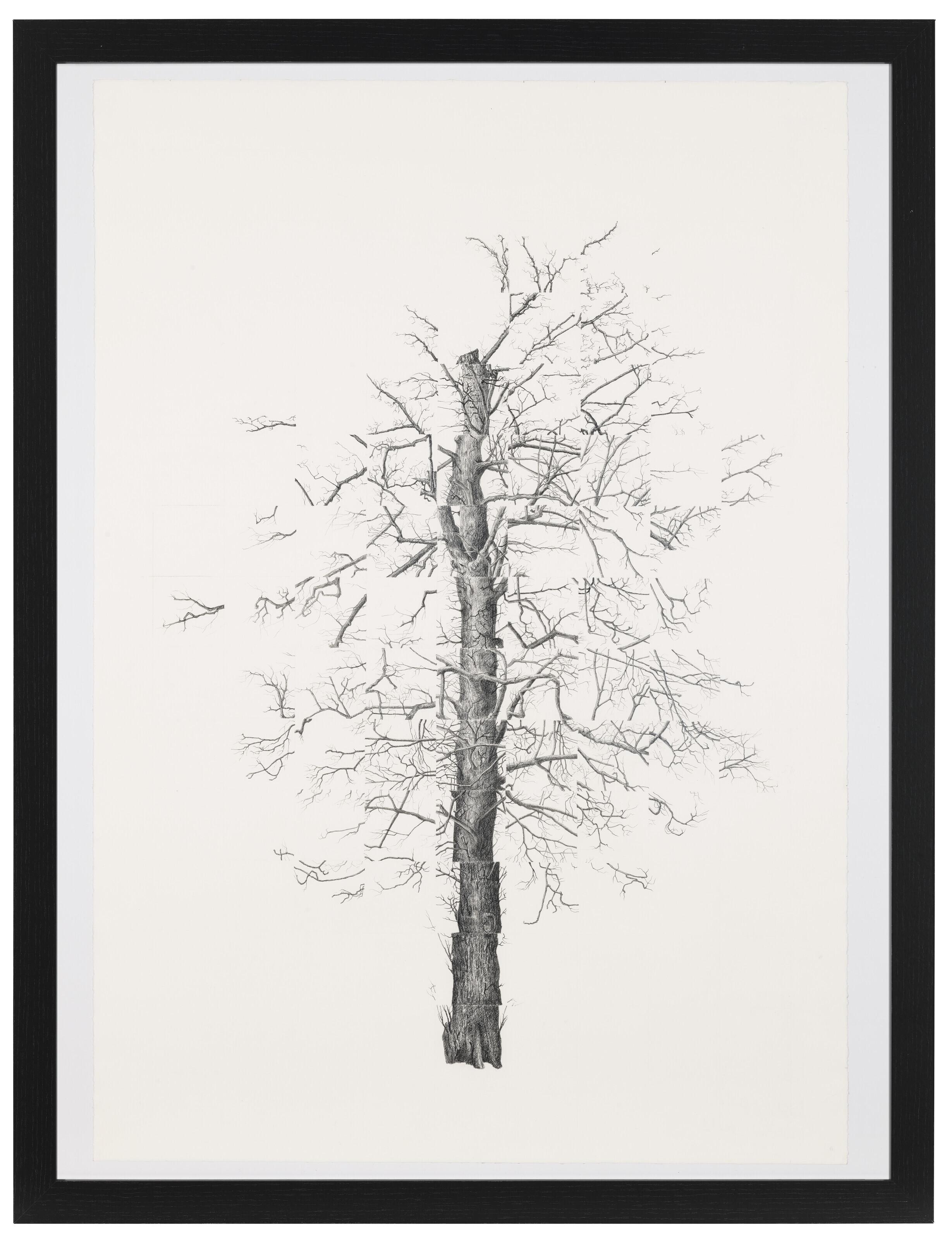 Jack Knight - Untitled #11