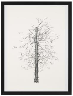 Jack Knight - Untitled #11