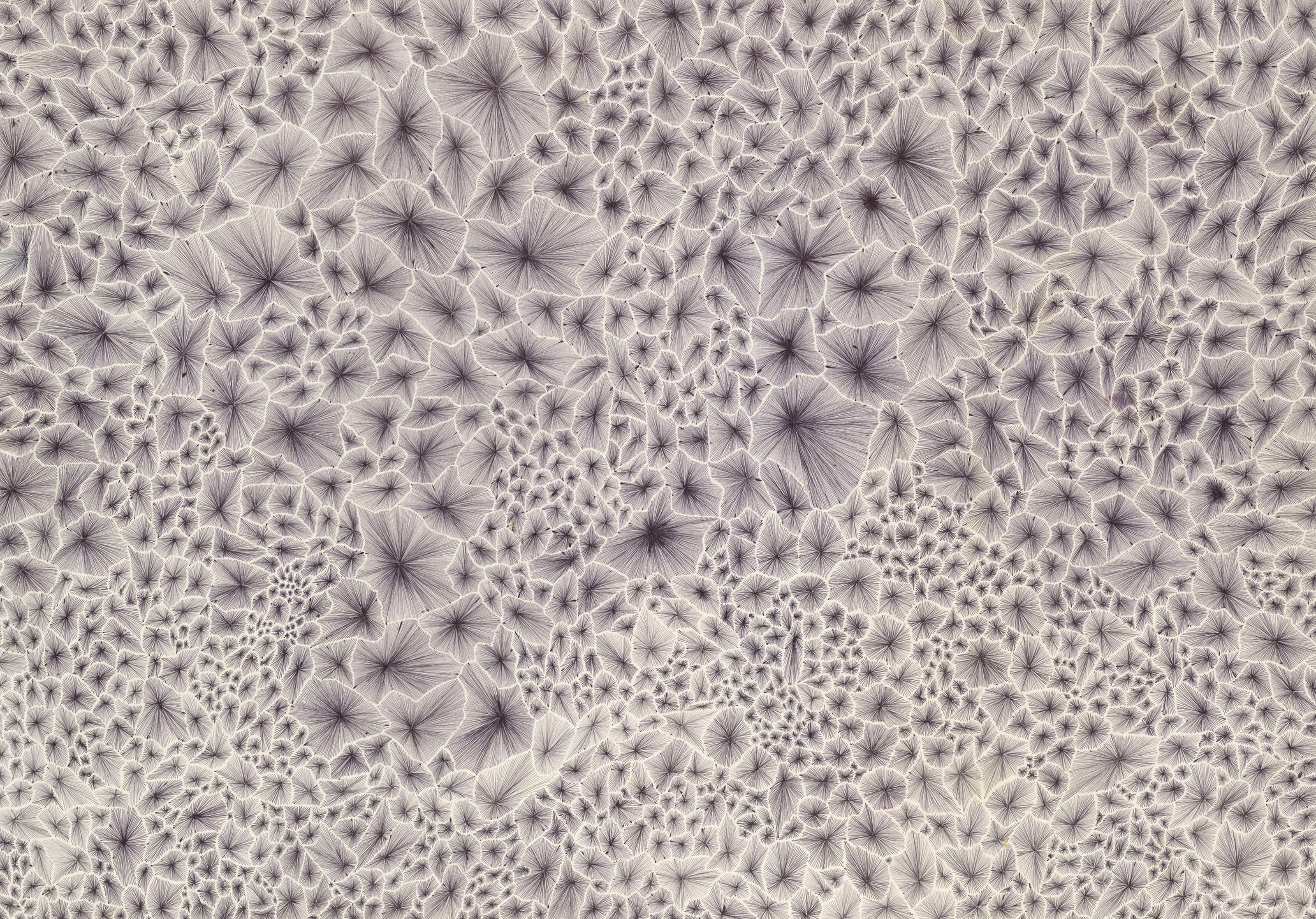 Jack Knight - Untitled #22