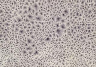 Jack Knight - Untitled #22