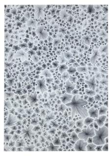 Jack Knight - Untitled #4, 2023