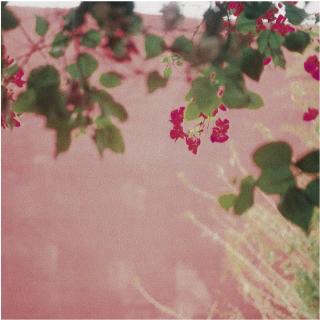 Jack Pierson - American Sister Honky Tonk